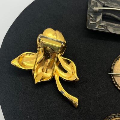 LOT 164J: Vintage/Antique Pin and Fur Clip Lot