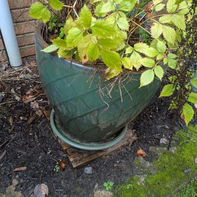 Large Pottery Planter
