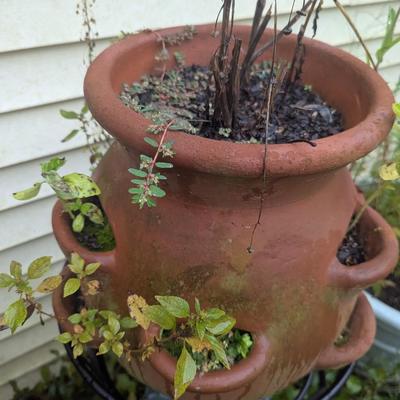 Strawberry Clay Pot & Stand