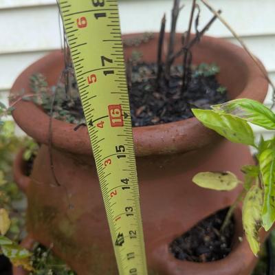Strawberry Clay Pot & Stand