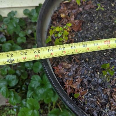 Plastic Plant Pots (See all pictures)