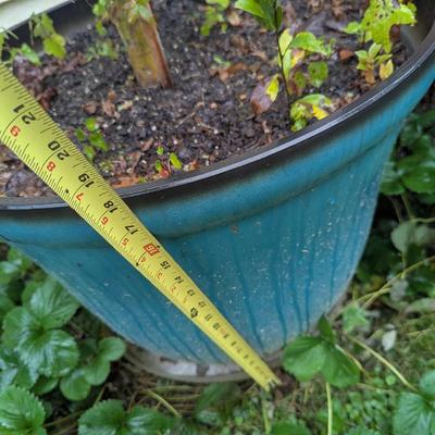 Plastic Plant Pots (See all pictures)
