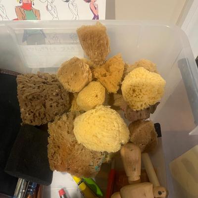 Art Supplies (BS-MG)