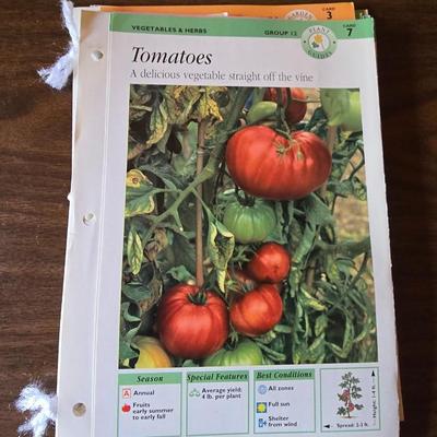 Flowers - Landscaping - Gardening books with flower and vegetable seed packets (some past date)