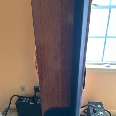 Signature Ribbon Speakers – Flatline Design, Lewis Muratori, Audiophile Classics