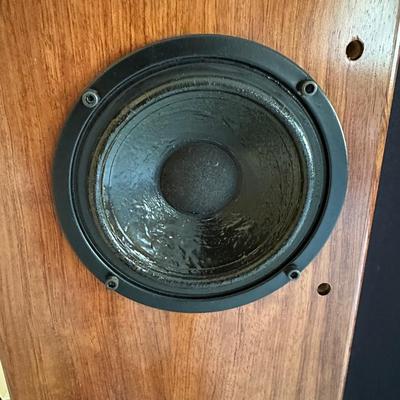 Signature Ribbon Speakers – Flatline Design, Lewis Muratori, Audiophile Classics