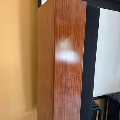 Signature Ribbon Speakers – Flatline Design, Lewis Muratori, Audiophile Classics