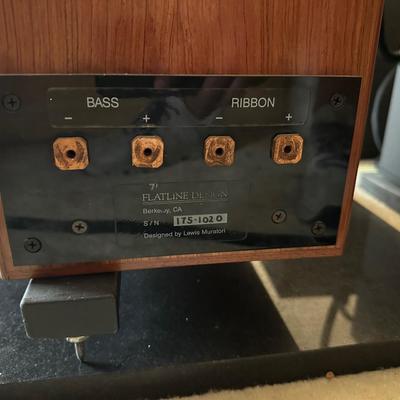 Signature Ribbon Speakers – Flatline Design, Lewis Muratori, Audiophile Classics