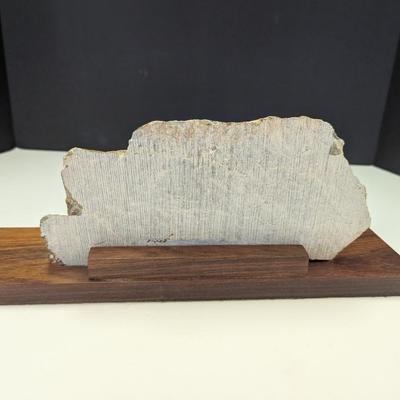 Vintage Apodruk Scrimshaw Rock