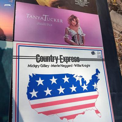 A VARIETY OF COUNTRY WESTERN MUSIC ON VINYL RECORD ALBUMS