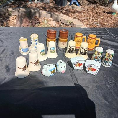 SOUVENIR SALT & PEPPER SHAKERS