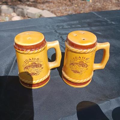 SOUVENIR SALT & PEPPER SHAKERS