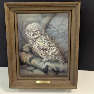 Vintage 'The Little Owl' in Shadow Box Three-Dimensional by Artist Gladee