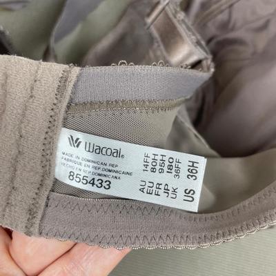 2 New Wacoal Bras Size 36H