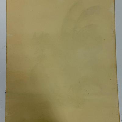 Original Charcoal or Pastel Drawing of a Rooster drawn on Paper signed M