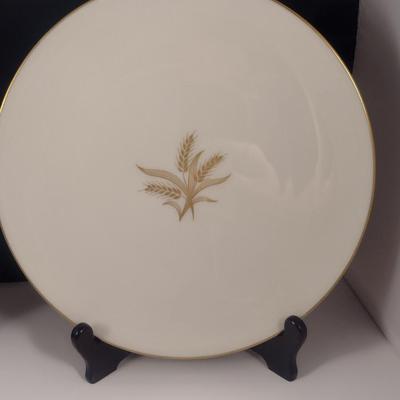 Collection of Plates and Cups- Assorted Makers