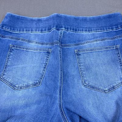 Chico’s Pefect Stretch Jean 2