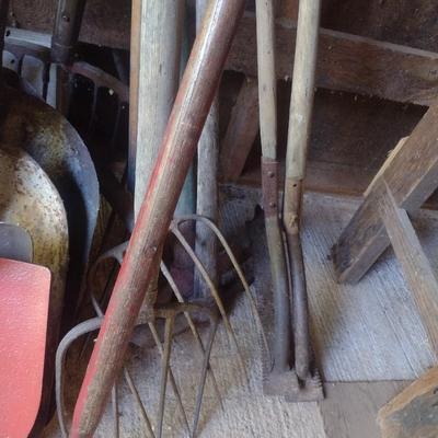 Collection of Garden Hand Tools Choice C (B2)