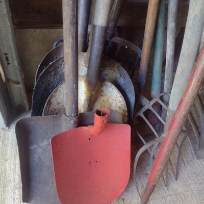 Collection of Garden Hand Tools Choice C (B2)