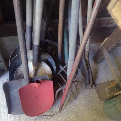 Collection of Garden Hand Tools Choice C (B2)