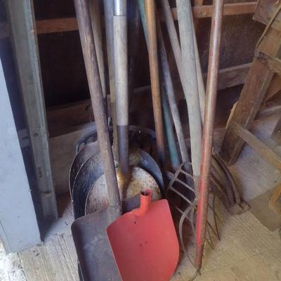 Collection of Garden Hand Tools Choice C (B2)