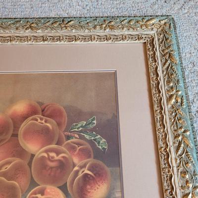 "Strawberries and Peaches" Wall Art (GB-EL)