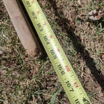 Vintage Wood Framed Apple Tree Ladder