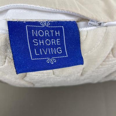 2 Small Accent Pillows