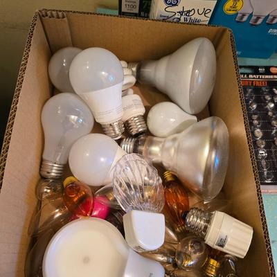Variety of household light bulbs and assortment of batteries