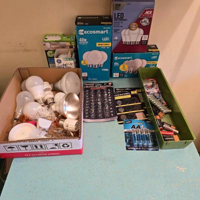 Variety of household light bulbs and assortment of batteries