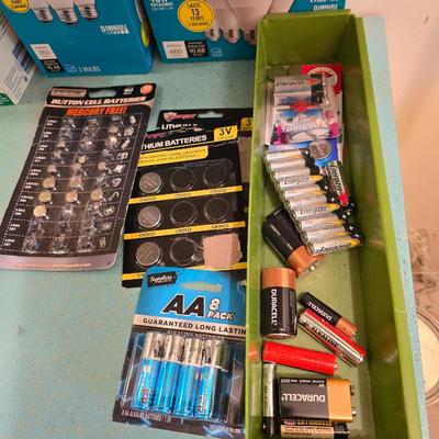 Variety of household light bulbs and assortment of batteries