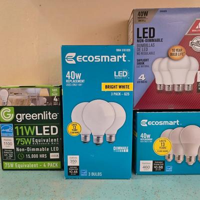 Variety of household light bulbs and assortment of batteries