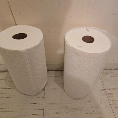 Cleaning chemicals and paper towels