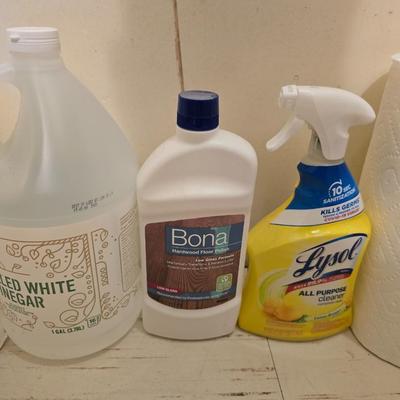Cleaning chemicals and paper towels
