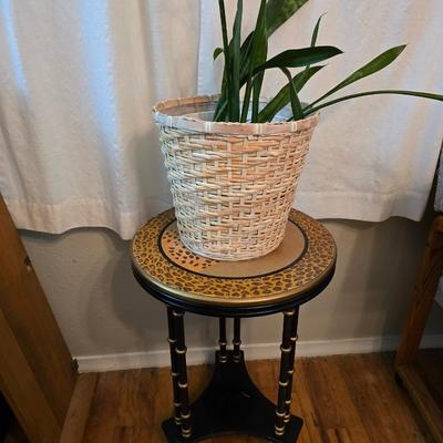 Living snake plant / Mother - in law in pot with jungle themed wooden plant stand