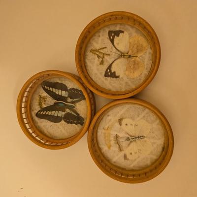 Framed Butterfly themed wall art "New Life" by Joni Eareckson "Splendor Nature 3" Tuner design and 3 butterfly coasters