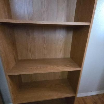 Tall bookshelf (1 of 2)