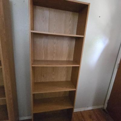 Tall bookshelf (1 of 2)