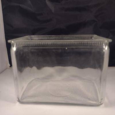 Open Top Glass Terrarium/Aquarium