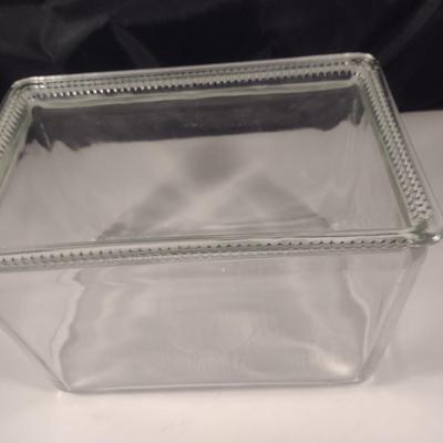 Open Top Glass Terrarium/Aquarium