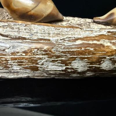 Antique Fossilized Mastodon Art
