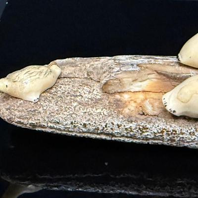 Antique Fossilized Mastodon Art