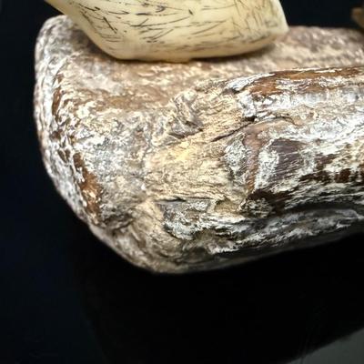 Antique Fossilized Mastodon Art