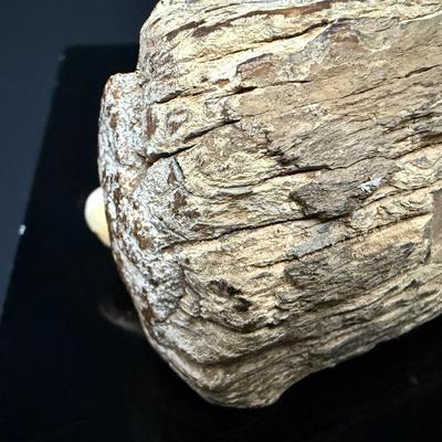 Antique Fossilized Mastodon Art