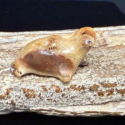 Antique Fossilized Mastodon Art