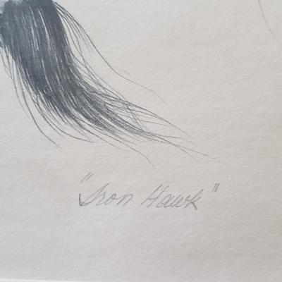 "Iron Hawk" by James Heckman-Signed & Numbered (PB-KD)