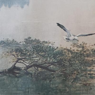 "Lake Superior " by Frances Anne Hopkins (PB-KD)