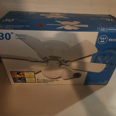 Ceiling fan