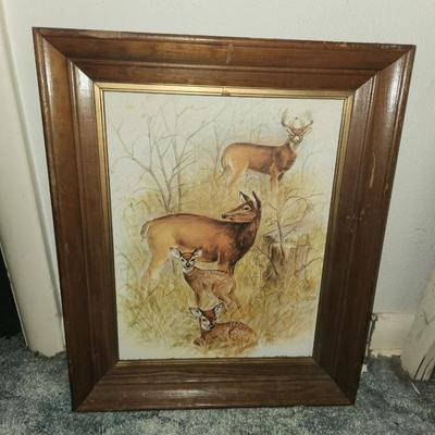 Deer Picture