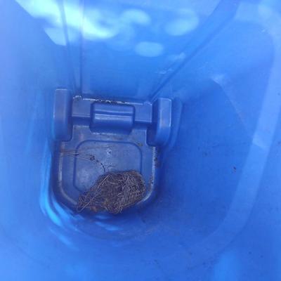 Large rolling back trash can and a blue recycle rolling bin